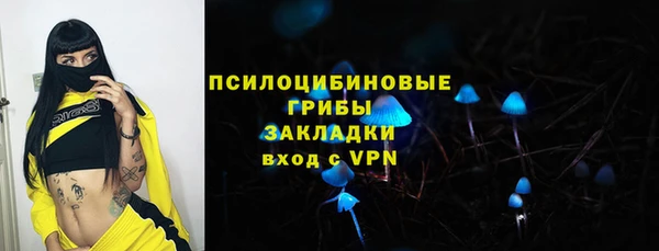 прущая мука Надым